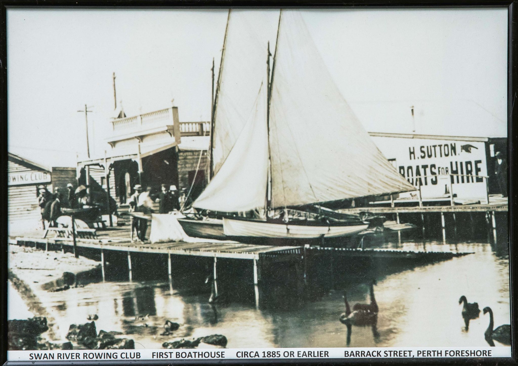 History - Swan River Rowing Club